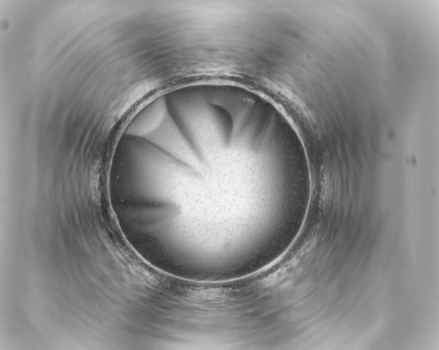 X0000088441162200705291600