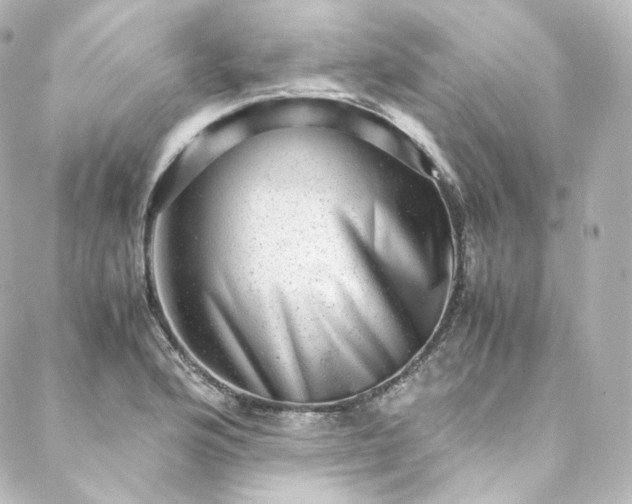 X0000088441176200705291600