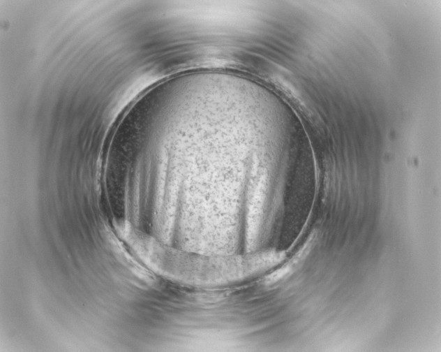 X0000088441178200705291600