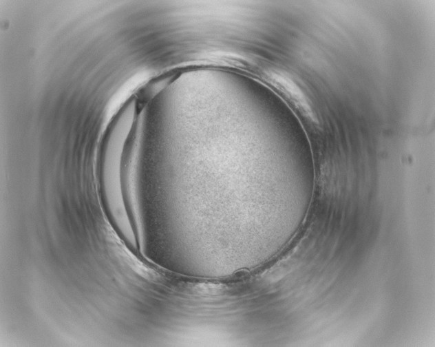 X0000088441180200705291600