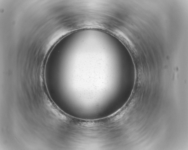 X0000088441182200705291600