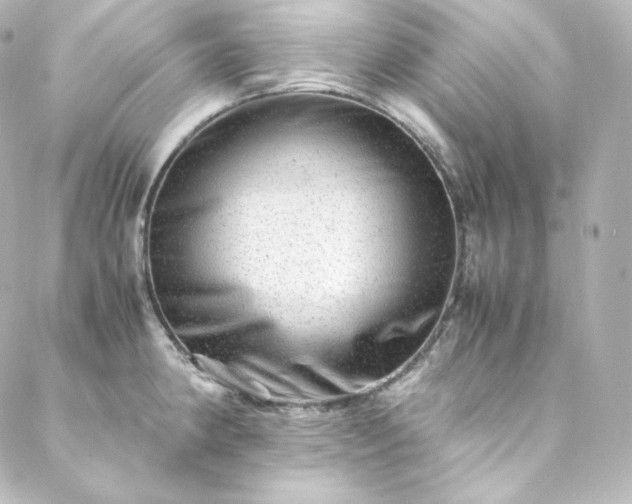 X0000088441190200705291600