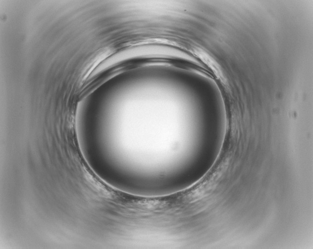 X0000088441193200705291600