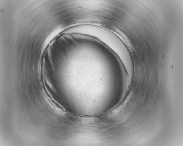 X0000088441196200705291600