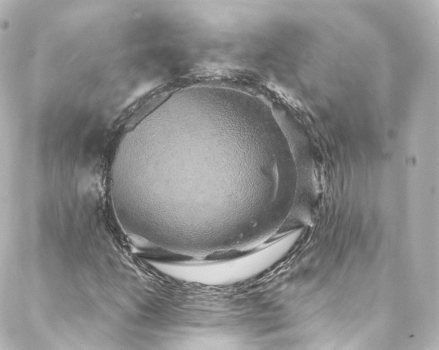 X0000088441206200705291559