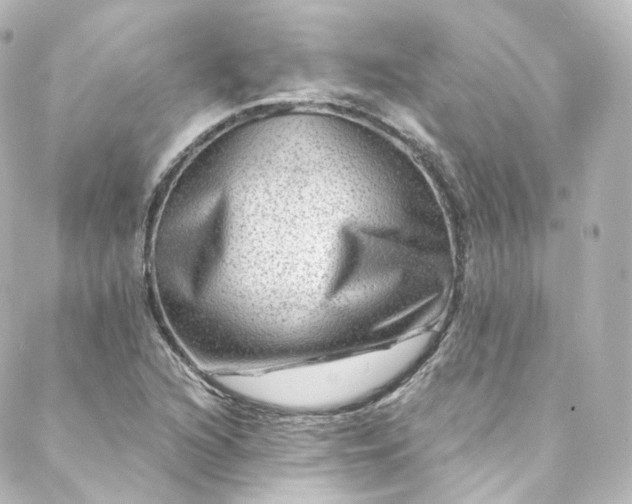 X0000088441216200705291559