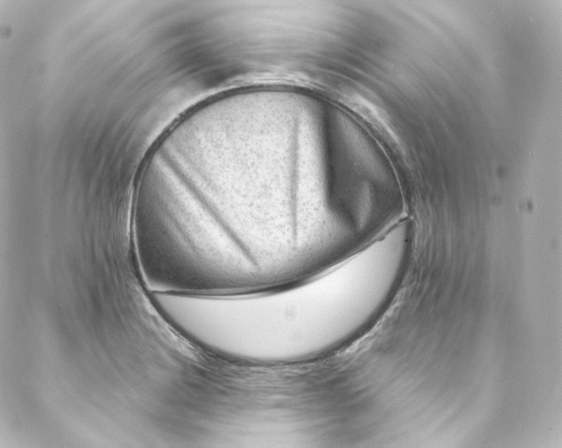 X0000088441228200705291559