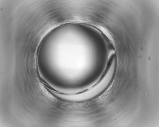 X0000088441238200705291600