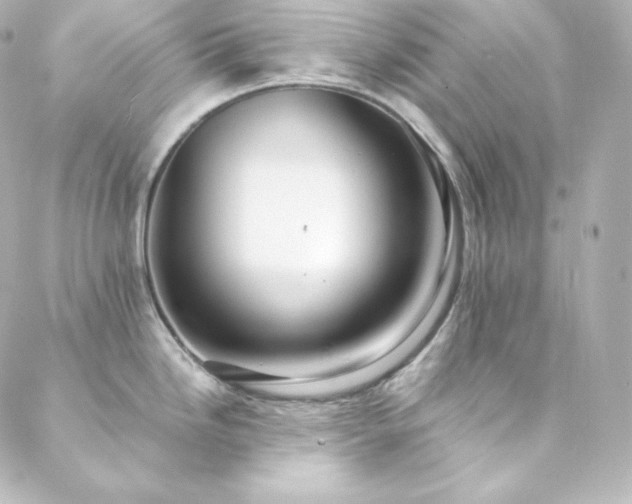 X0000088441246200705291600