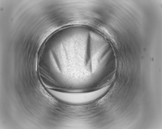 X0000088441276200705291558