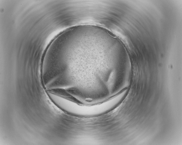 X0000088441288200705291558