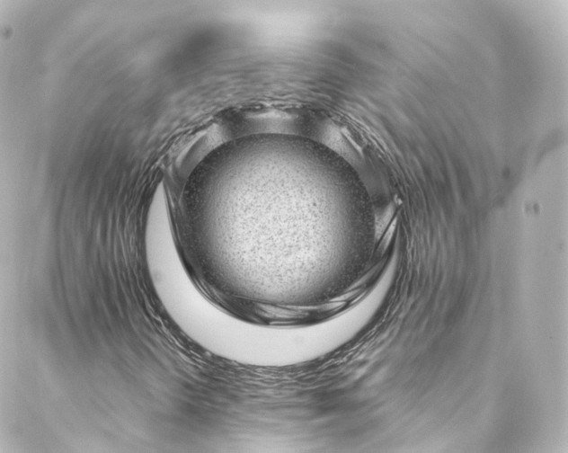 X0000088441298200705291557