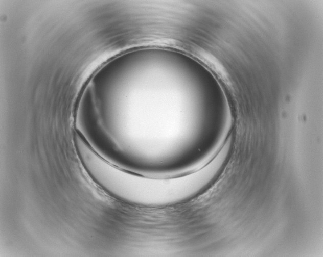 X0000088441332200705291558