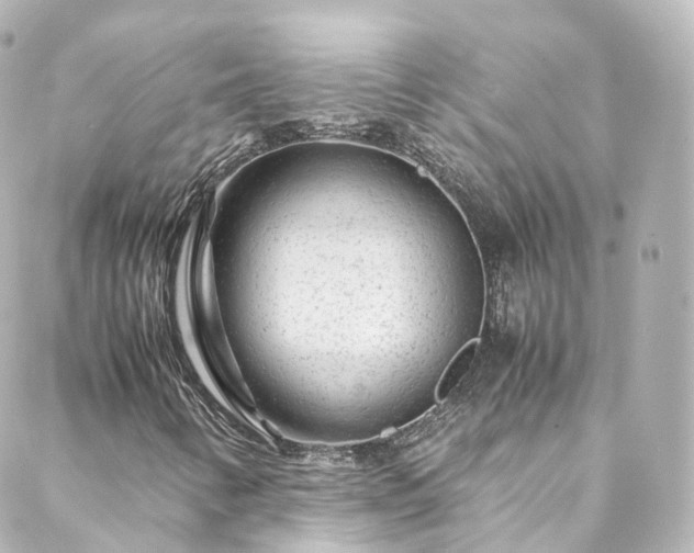 X0000088441346200705291557