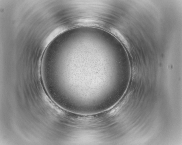 X0000088441386200705291557