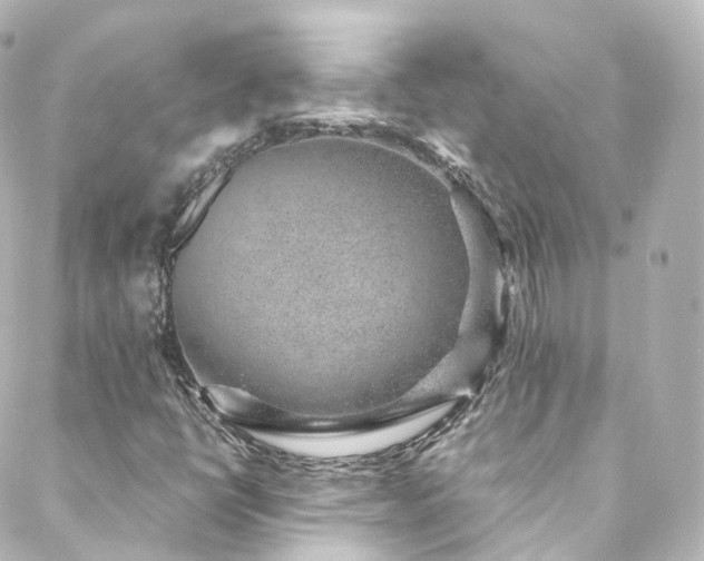 X0000088441398200705291556
