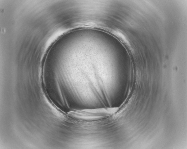 X0000088441424200705291556