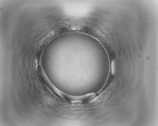 X0000088441443200705291556