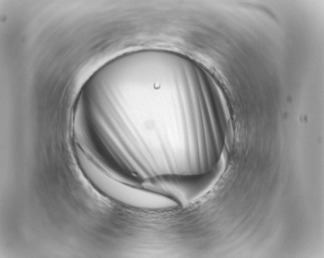 X0000088441520200705291555