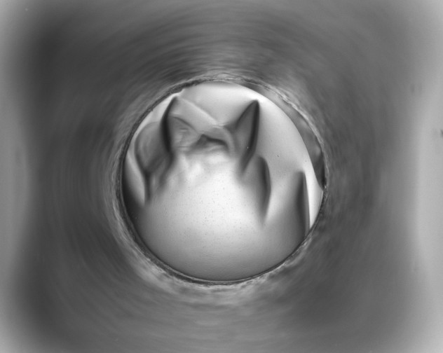 X0000088440001200706051256