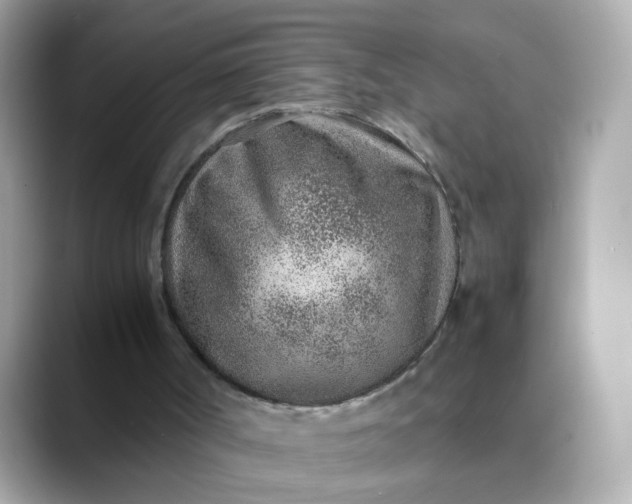 X0000088440002200706051256