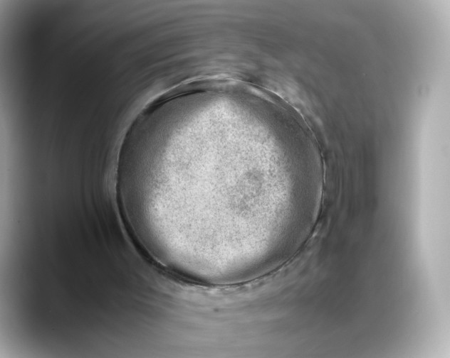 X0000088440003200706051256
