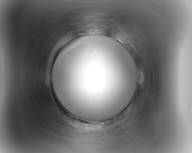 X0000088440004200706051256