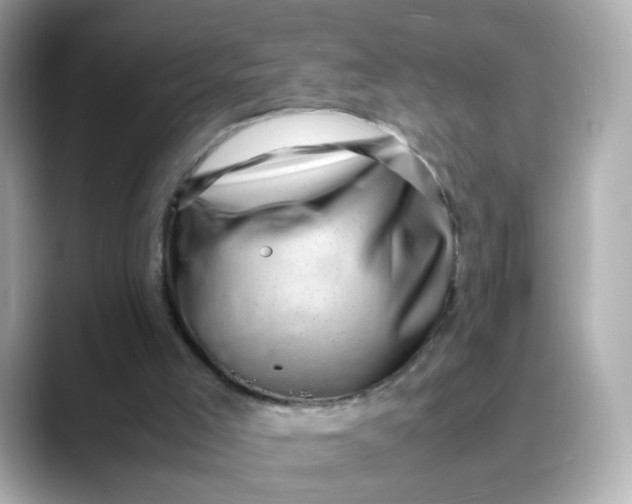 X0000088440005200706051256