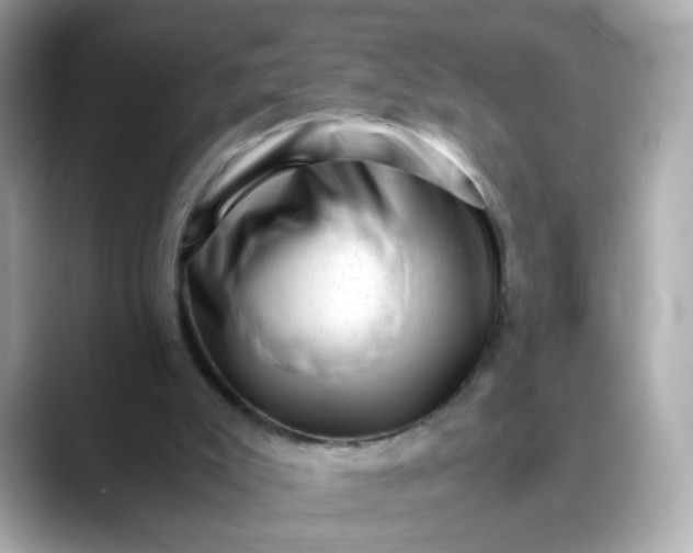 X0000088440007200706051256