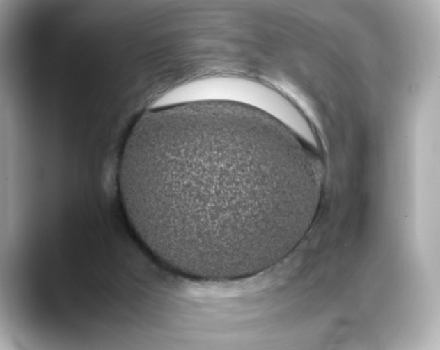 X0000088440009200706051256