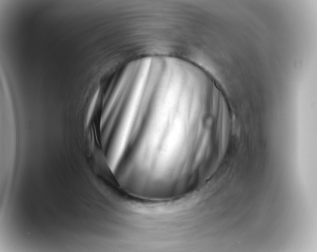 X0000088440013200706051256