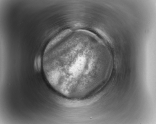 X0000088440014200706051256