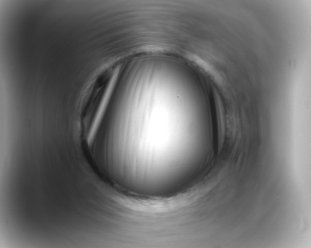X0000088440015200706051256