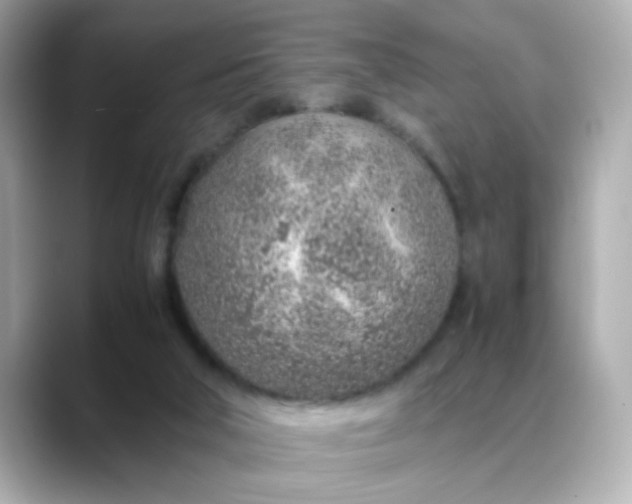 X0000088440018200706051256