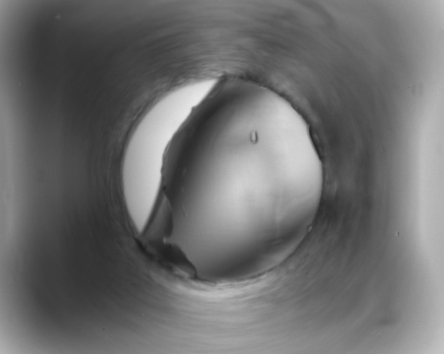 X0000088440019200706051256