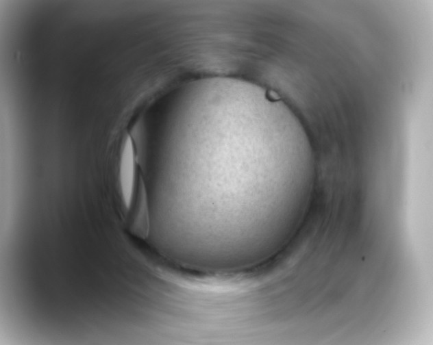 X0000088440020200706051256
