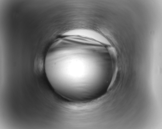 X0000088440021200706051256