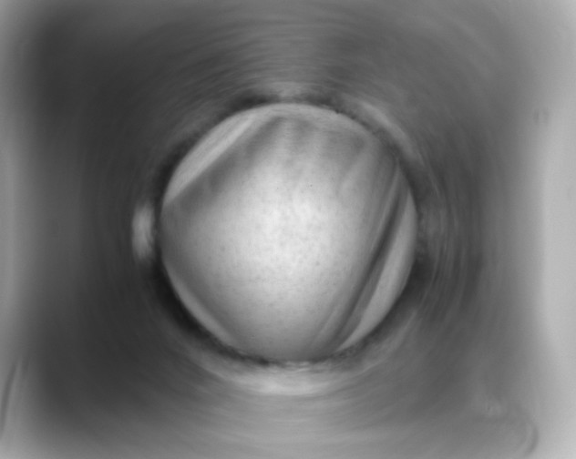 X0000088440024200706051256