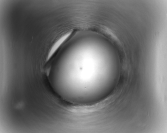 X0000088440025200706051256