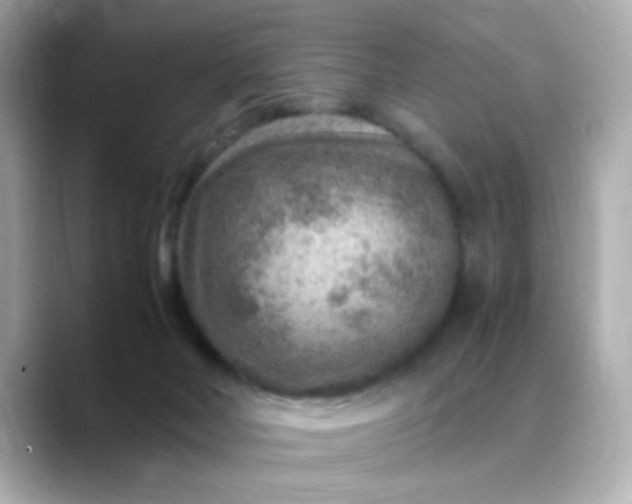 X0000088440026200706051256
