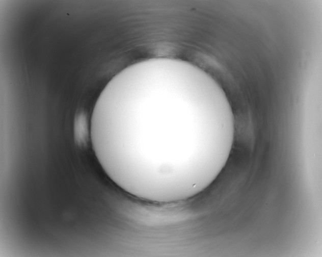 X0000088440028200706051256