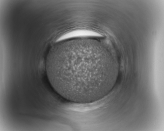 X0000088440029200706051256