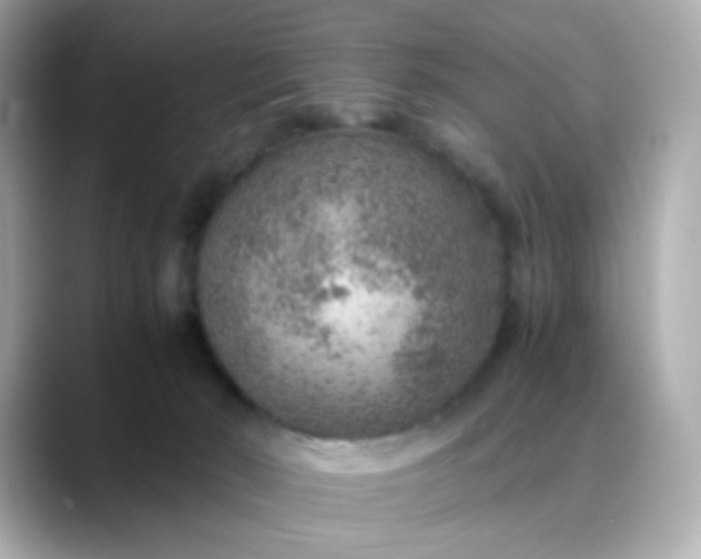 X0000088440030200706051256