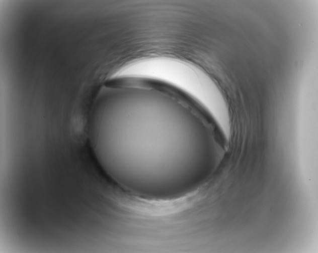 X0000088440031200706051256
