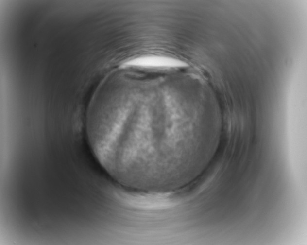 X0000088440032200706051256