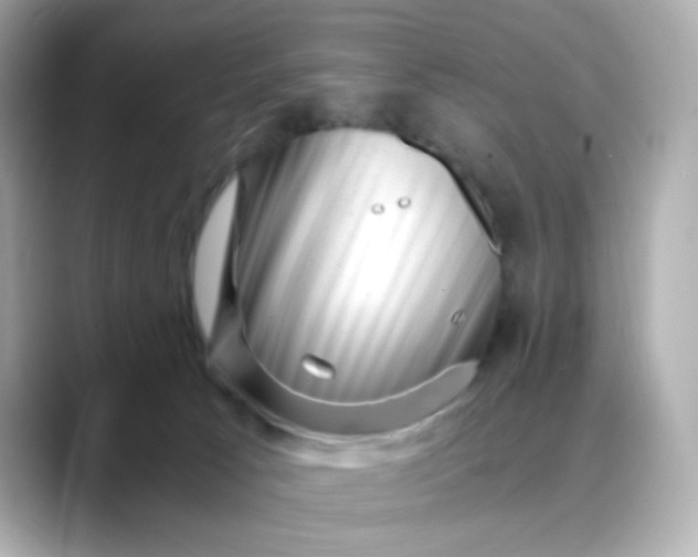X0000088440033200706051256