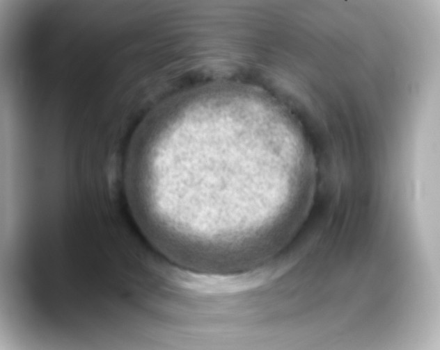 X0000088440034200706051256