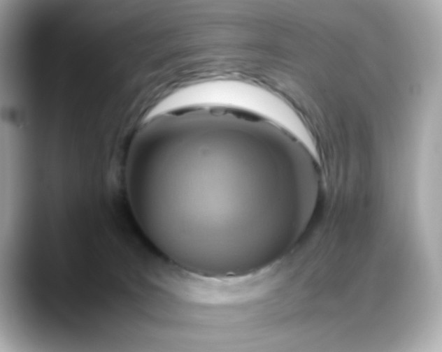X0000088440035200706051256