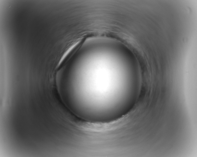 X0000088440037200706051256