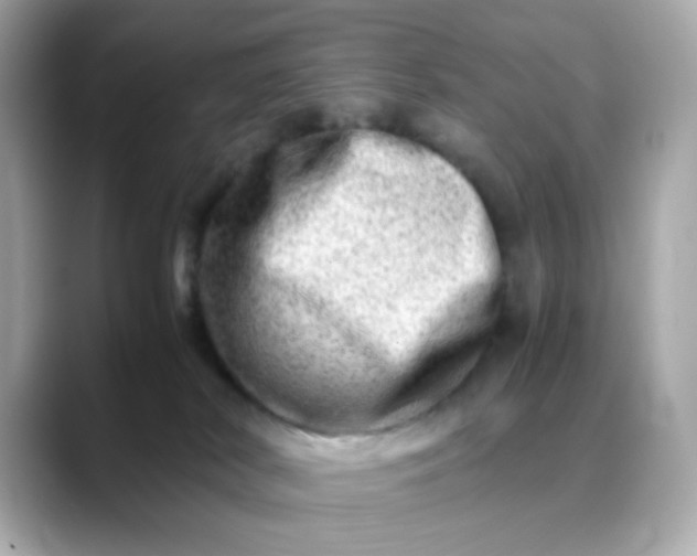 X0000088440038200706051256